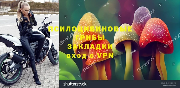 Альфа ПВП Аркадак